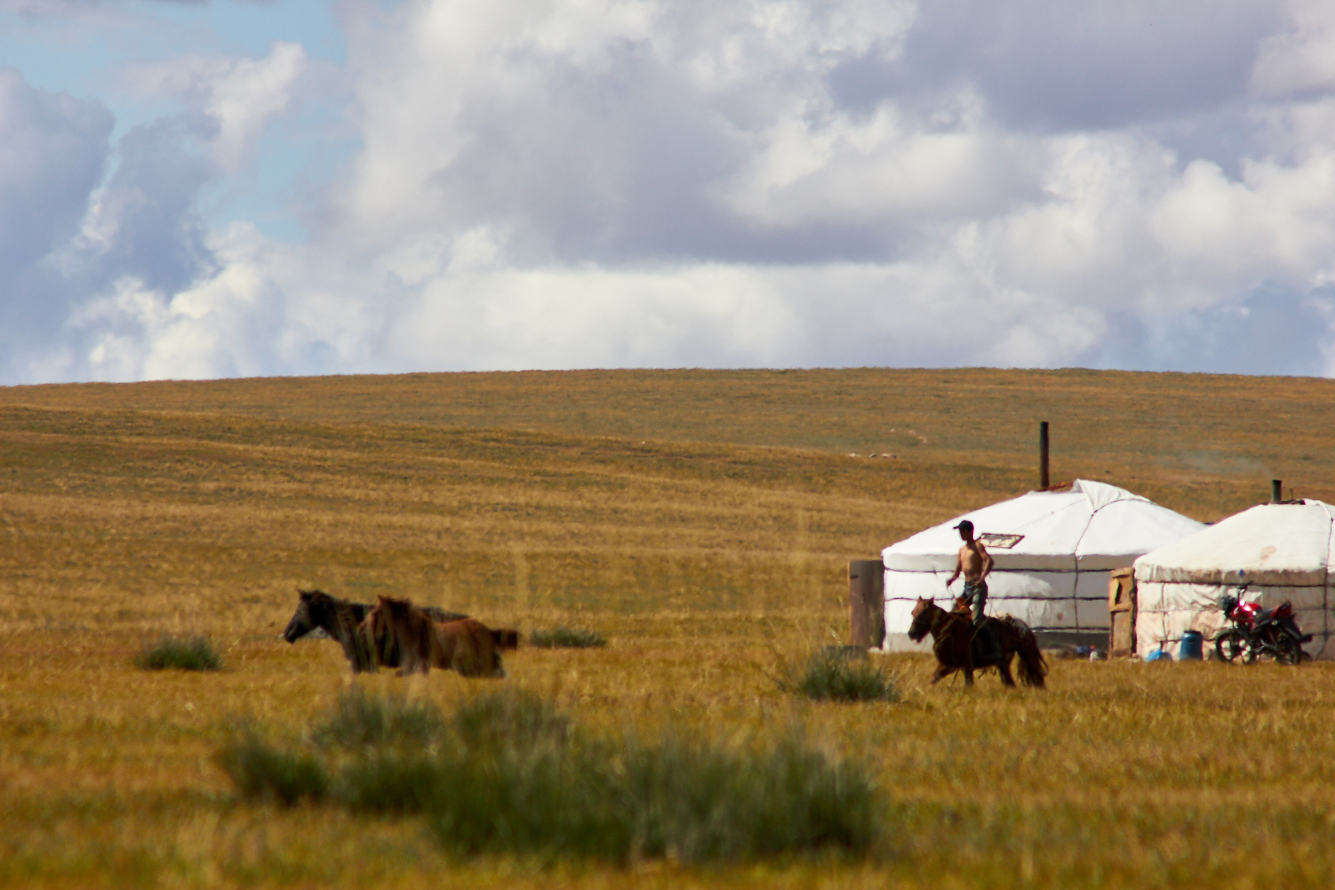 Nomaden in der Mongolei