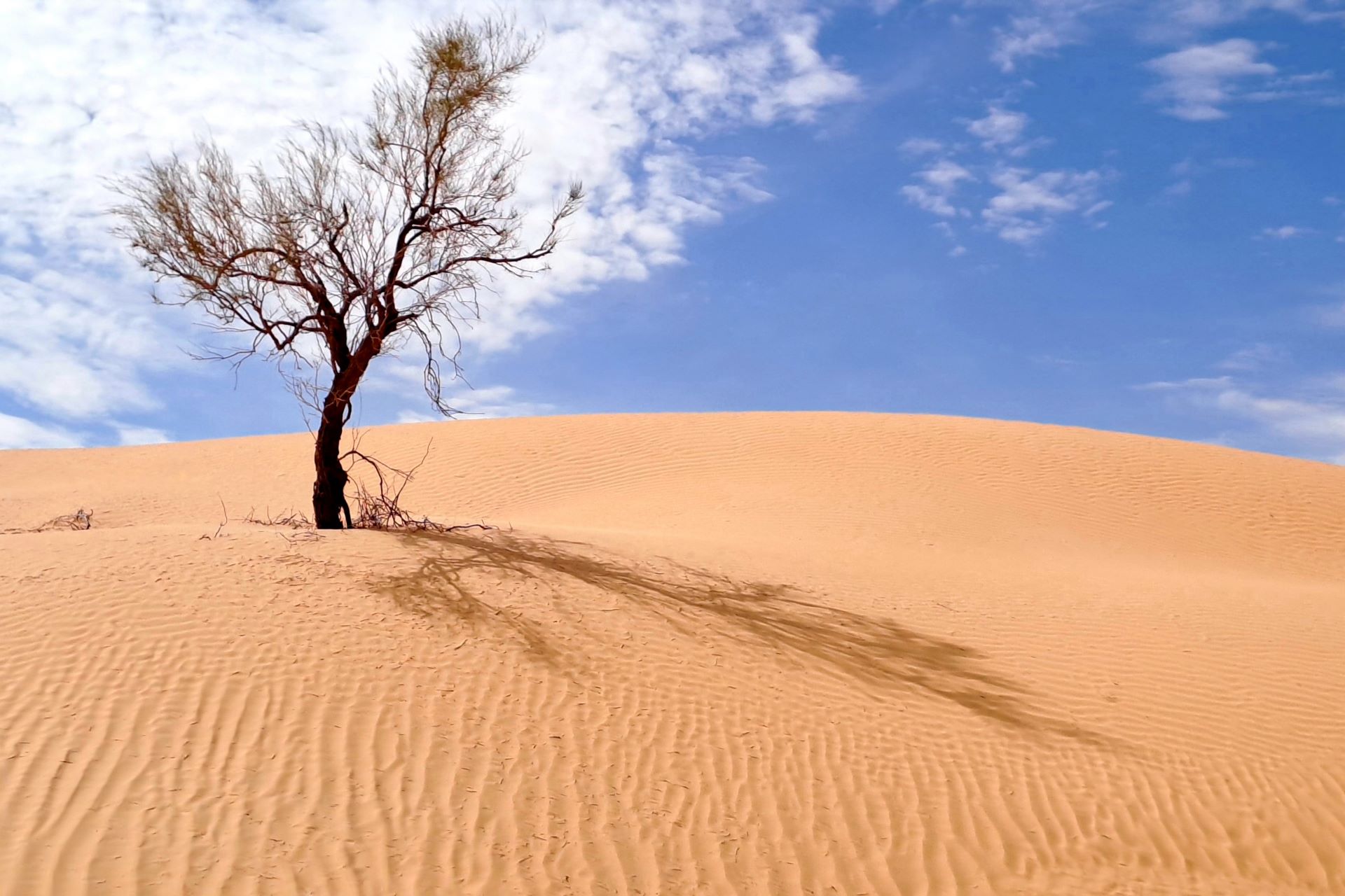 proventure_praxisausfahrt_tunesien_24