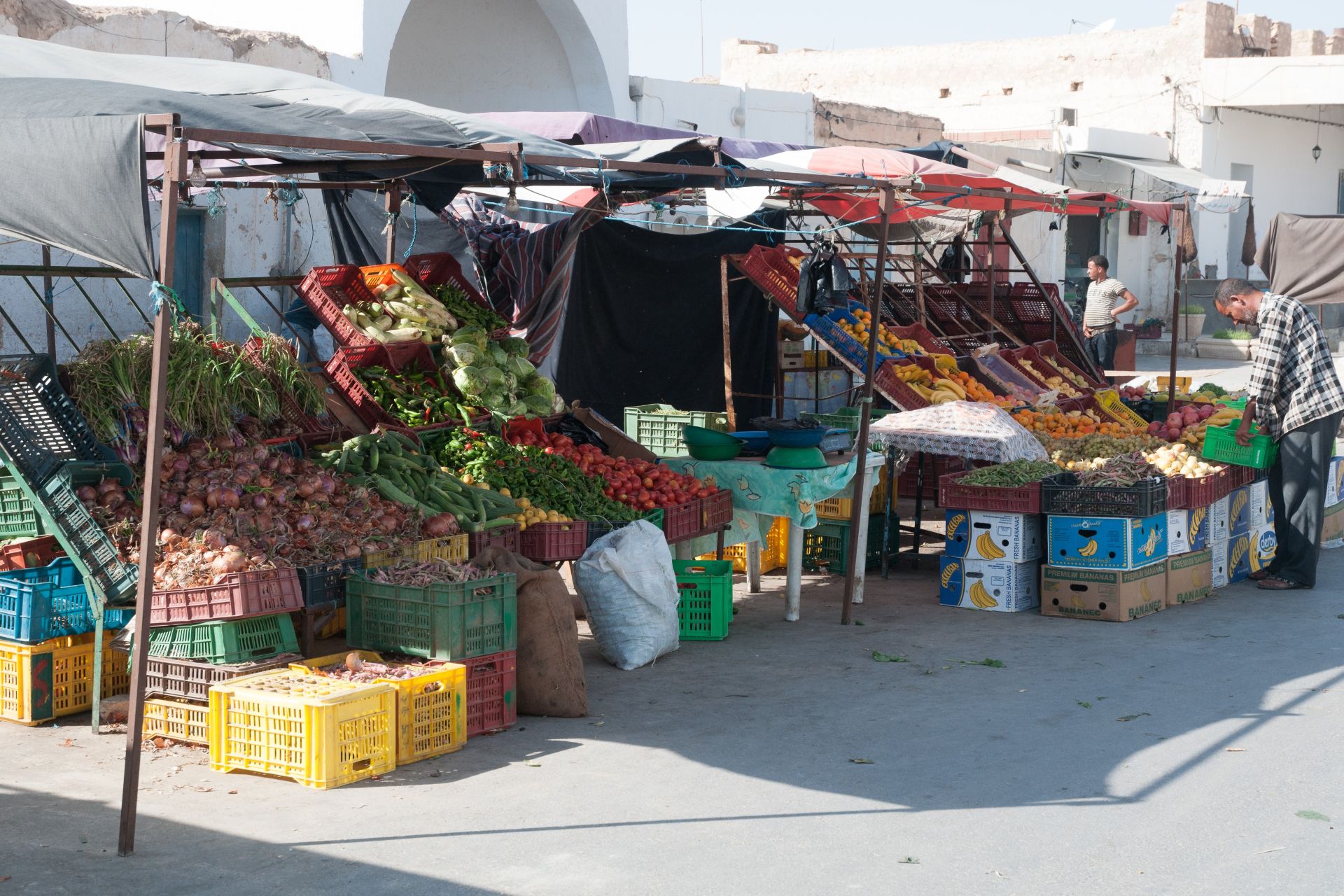 20 Jahre Wüstentraining