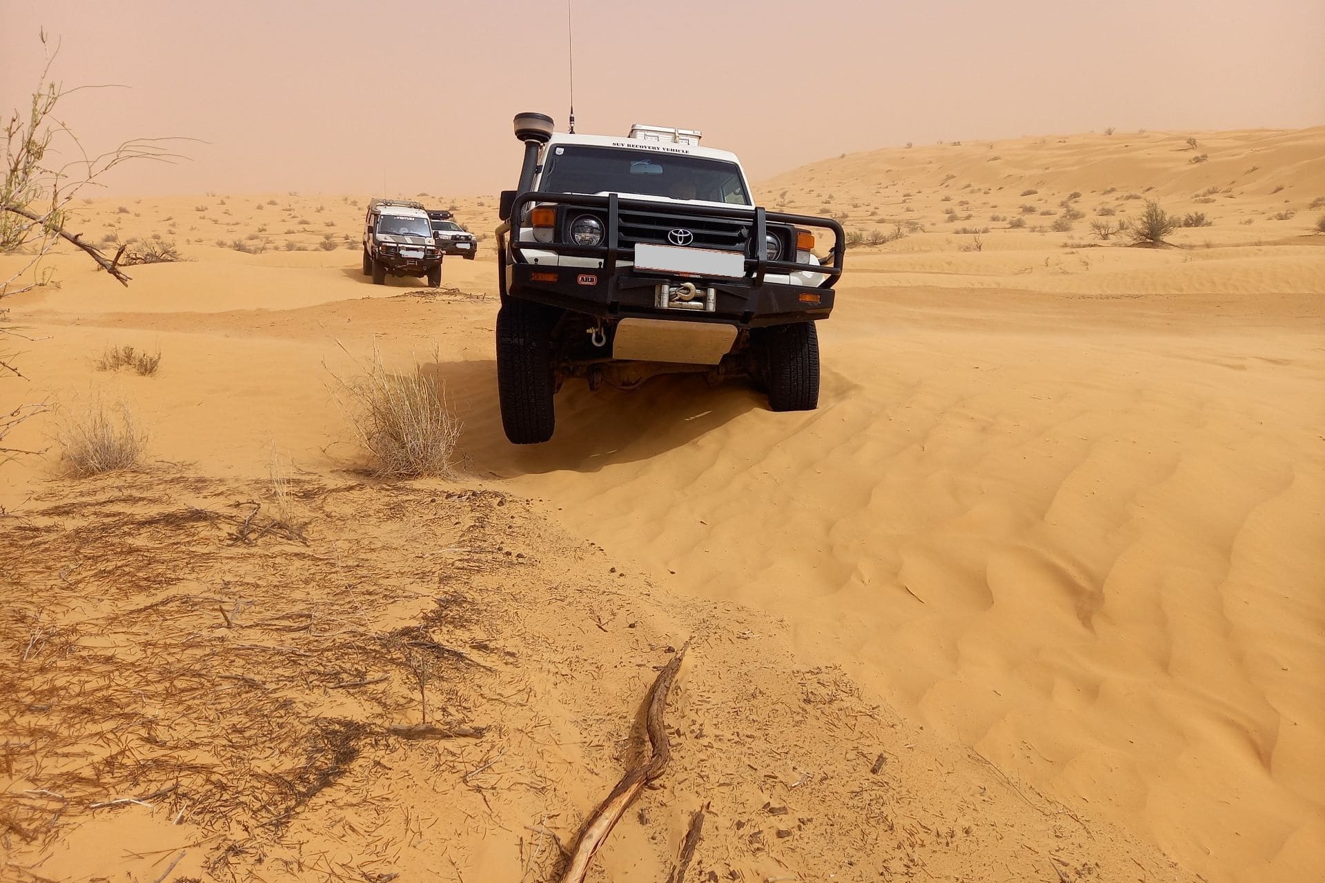 20 Jahre Wüstentraining 2022