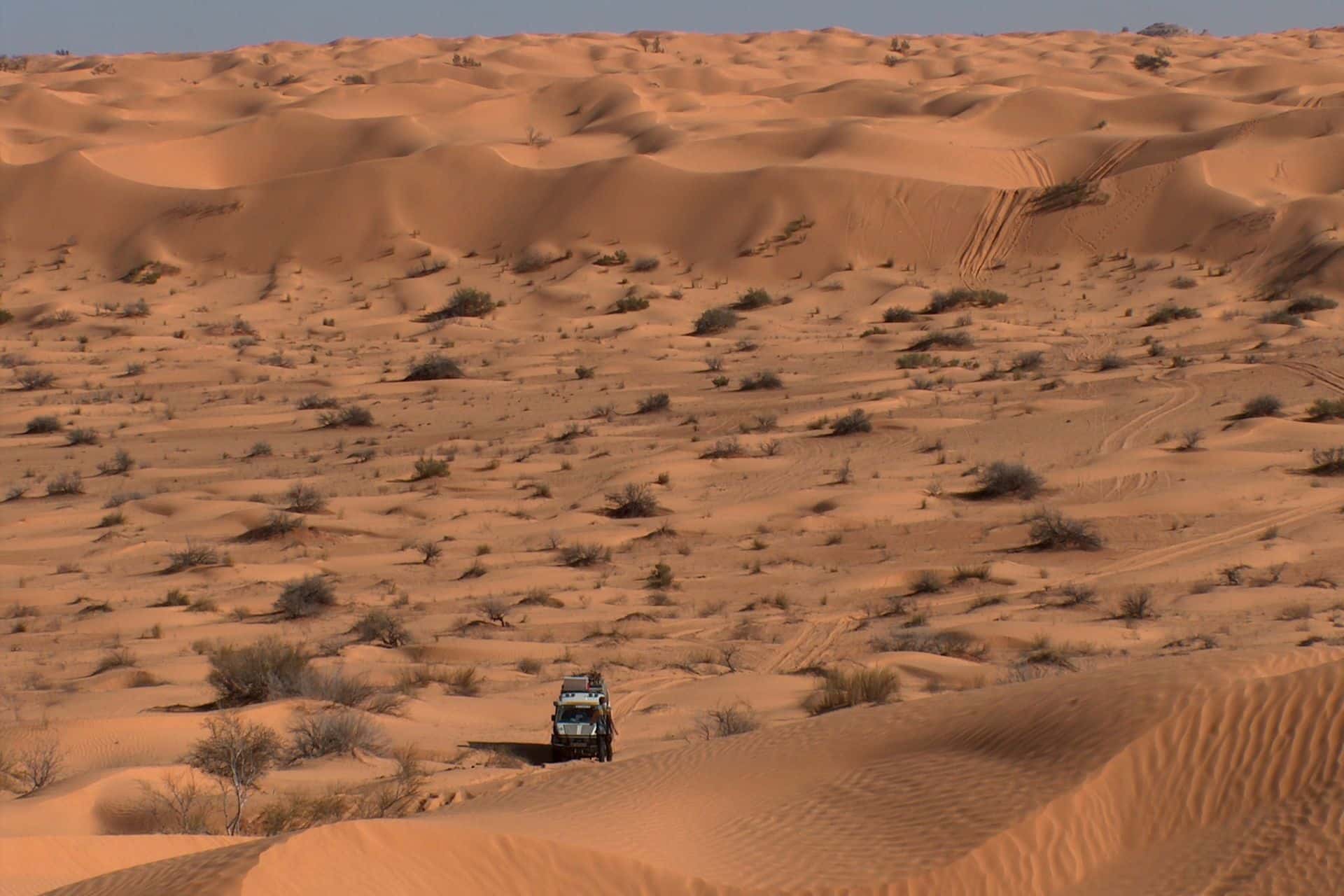 20 Jahre Wüstentraining
