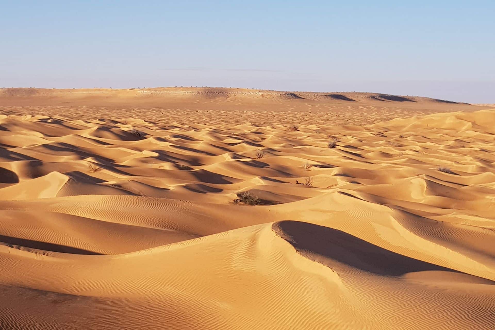 20 Jahre Wüstentraining 2025