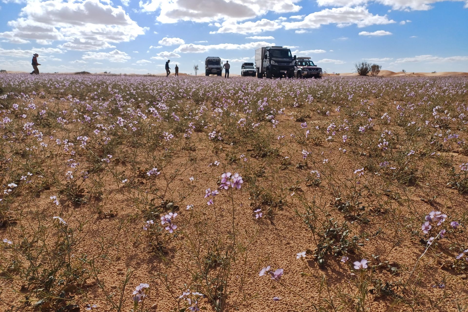 20 Jahre Wüstentraining 2025