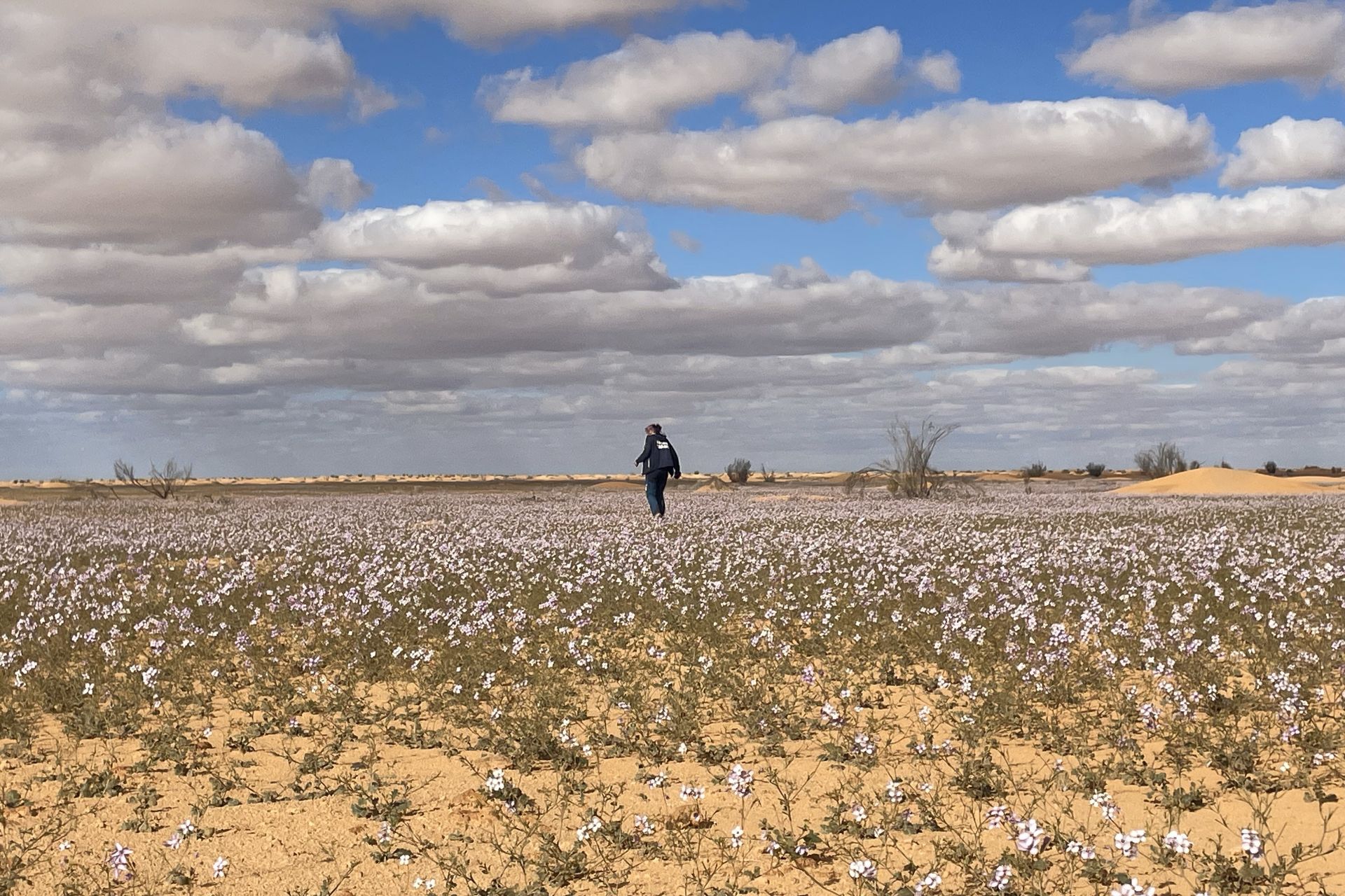 proventure_piskorz_Tunesien05 20 Jahre Wüstentraining 2025
