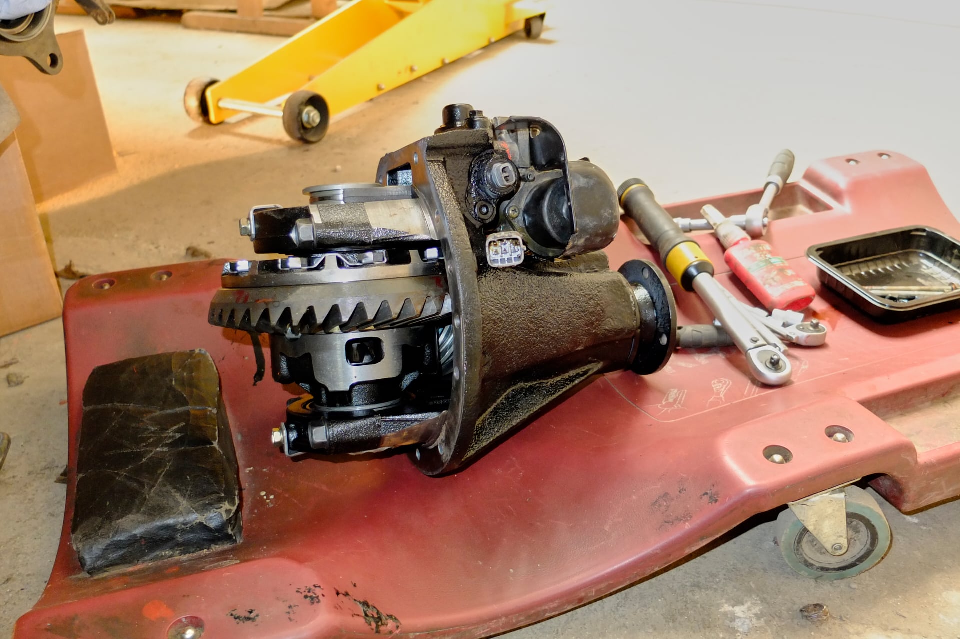 Workshop Buschmechanik